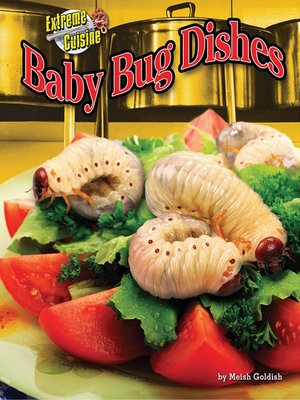 cover image of Baby Bug Dishes